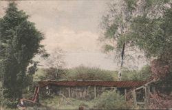 Dilapidated Apiary, Niedersachsen Series No. 5 Postcard