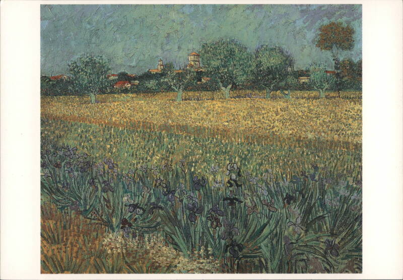 Field with flowers near Arles, Vincent van Gogh, 1888 France