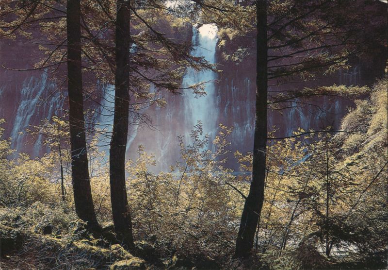 Burney Falls State Park Waterfall through Forest Trees California
