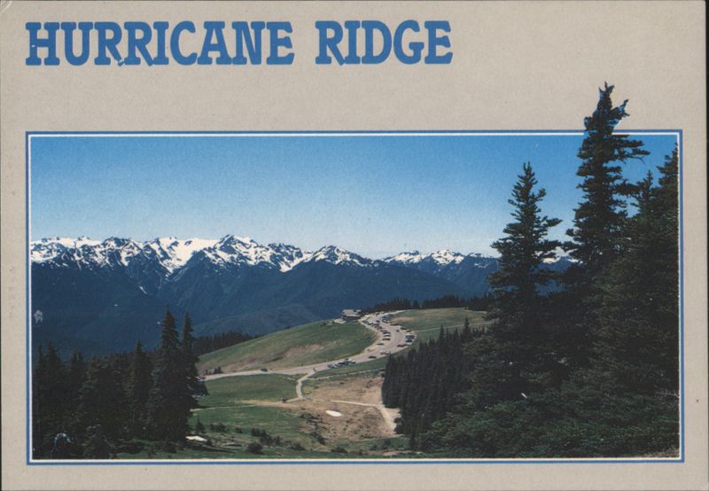Hurricane Ridge View of Olympic Mountains, WA Washington