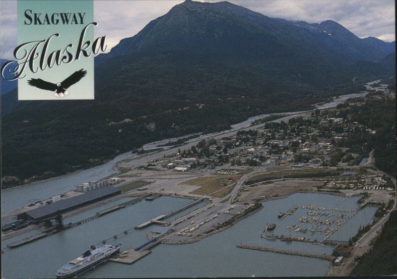 Skagway Alaska Port and Marina Aerial View Eagle Graphic