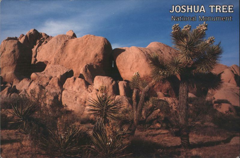 Joshua Tree National Monument, Desert Landscape & Rocks California