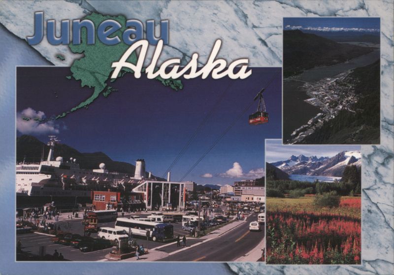Juneau Alaska Cruise Dock, Mendenhall Glacier, Aerial View