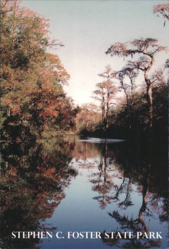 Stephen C. Foster State Park, Okefenokee Swamp Cypress Fargo Georgia