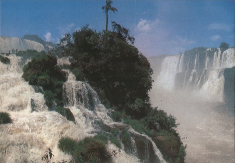 Floriano Cascade with Naipi Palm-Tree, Iguazu Falls Foz do Iguaçu Brazil