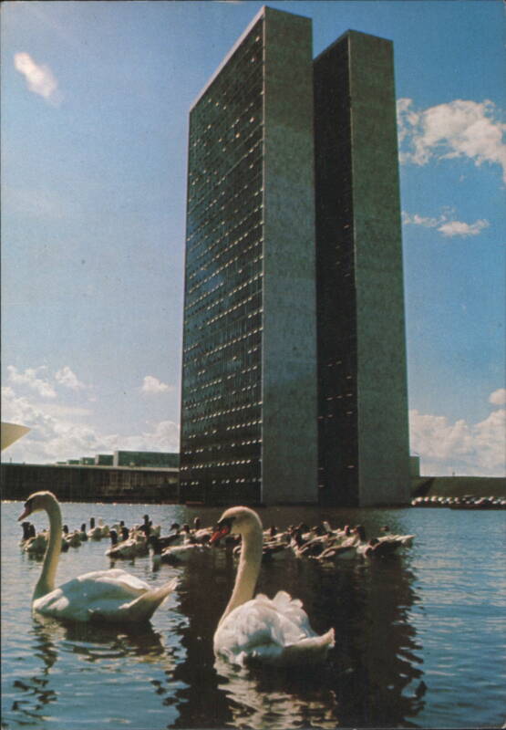 National Congress Building Towers with Swans, Brasília DF Brazil