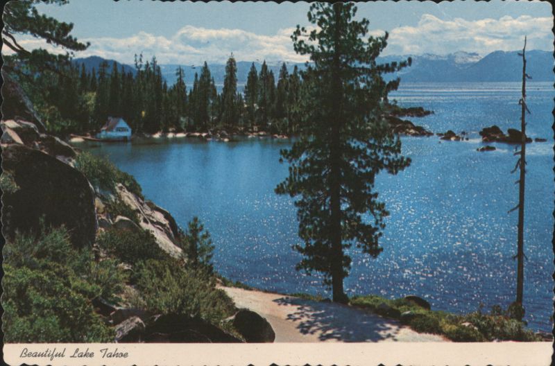 Beautiful Lake Tahoe Shoreline View, Sparkling Water, Pines Tahoe City California