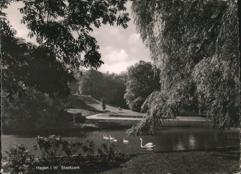 Hagen Stadtpark Pond View with Swans Germany
