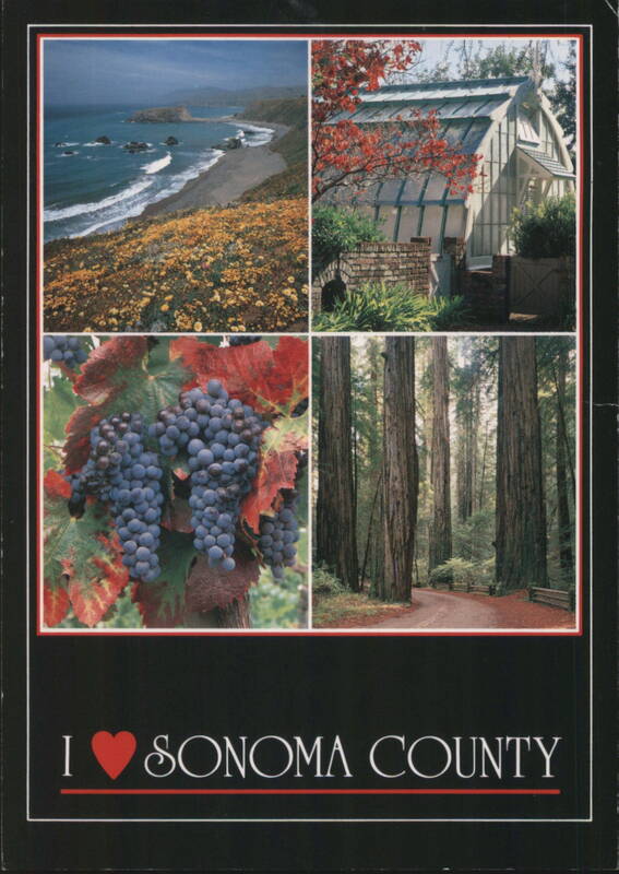 I ❤️ Sonoma County Collage: Coast, Gardens, Grapes, Redwoods Santa Rosa California