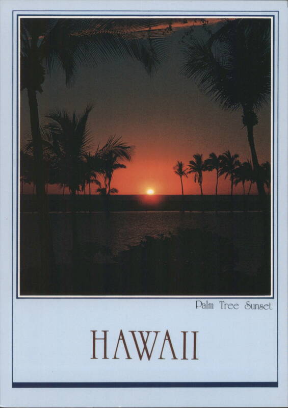 Palm Tree Sunset, Spectacular Day in Paradise, HAWAII