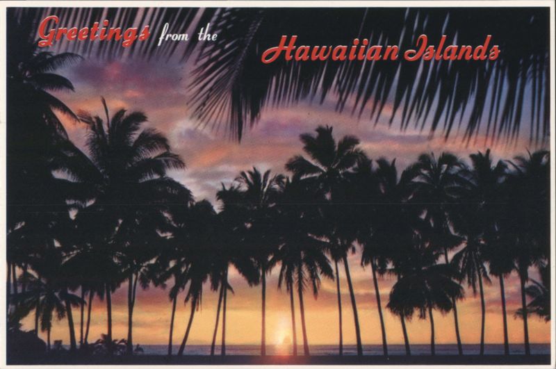 Greetings from the Hawaiian Islands: Sunset Through Palms