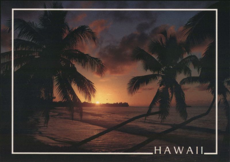 Silhouetted Palm Trees at Sunset, Tropical Hawaiian Scene
