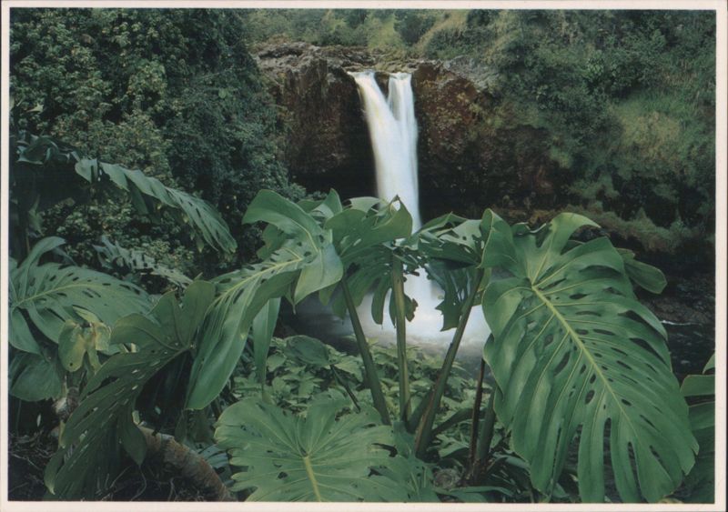 Rainbow Falls, Wailuku River Park, Island of HI Hawaii