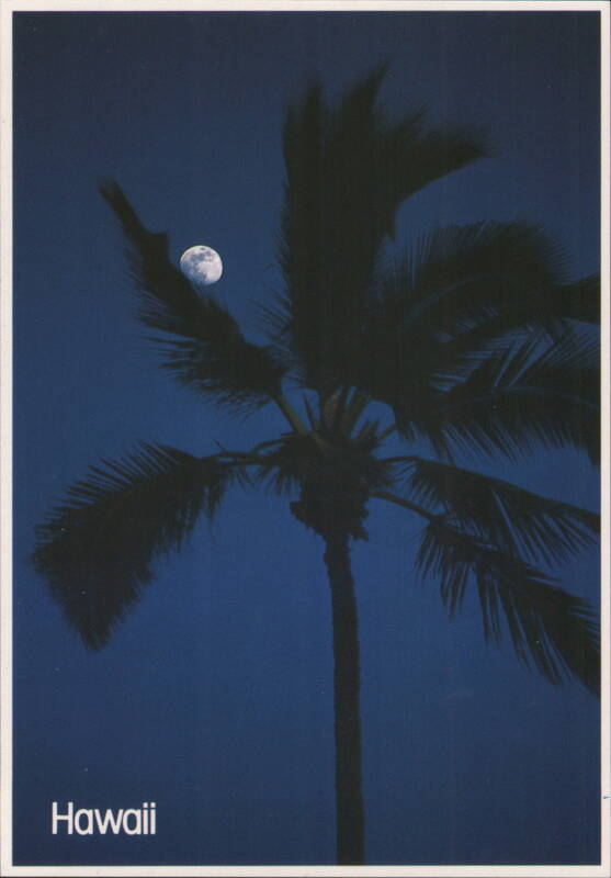 Full Moon over Silhouette Palm Tree, Tropical Sky, Hawaii