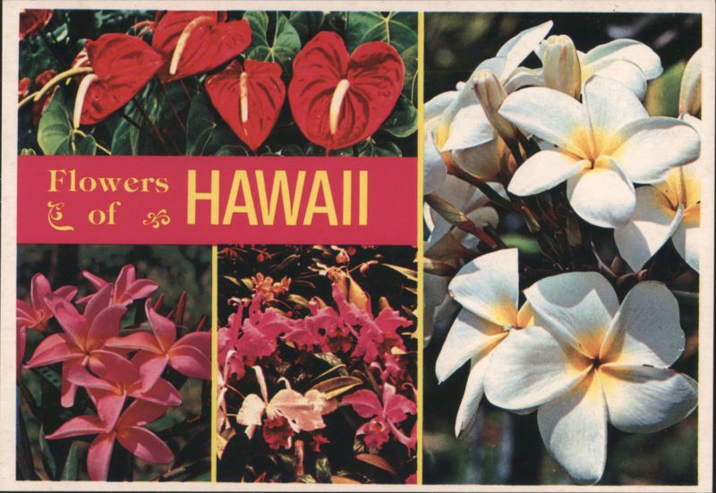 Flowers of HAWAII - Anthurium, Plumeria, Orchids