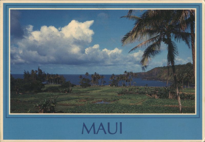 Keanae Peninsula, Maui, HI - Taro Fields and Coastal View Hawaii