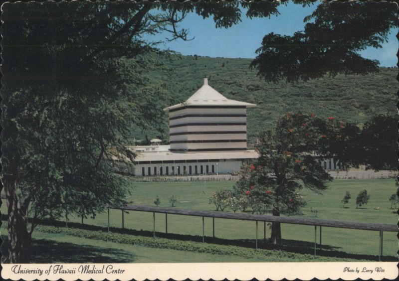 University of Hawaii Medical Center Manoa Valley Greenery Honolulu