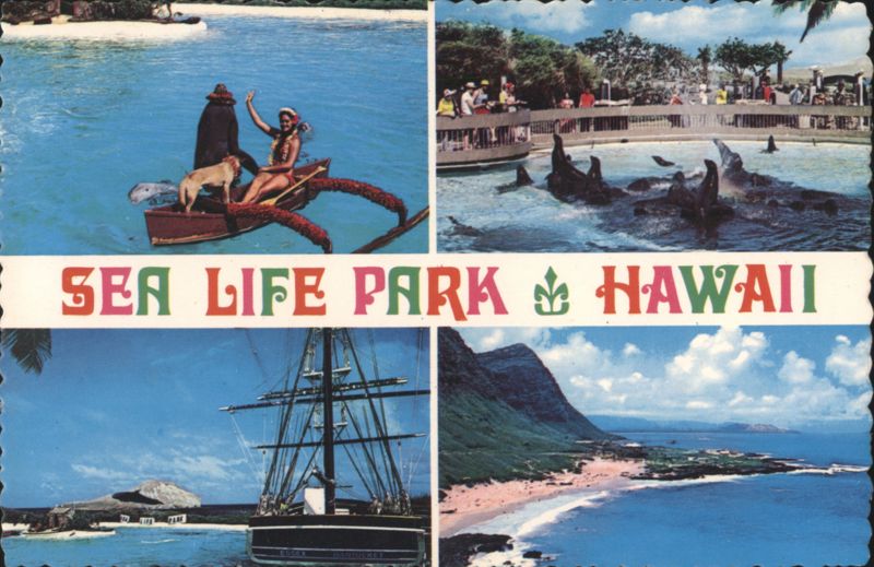 Sea Life Park Hawaii Marine Show Sailing Ship Coastal View Honolulu