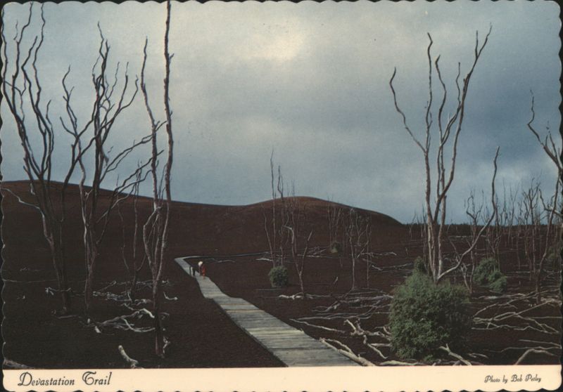 Devastation Trail, Barren Landscape, Kilauea Iki Eruption Hawaii