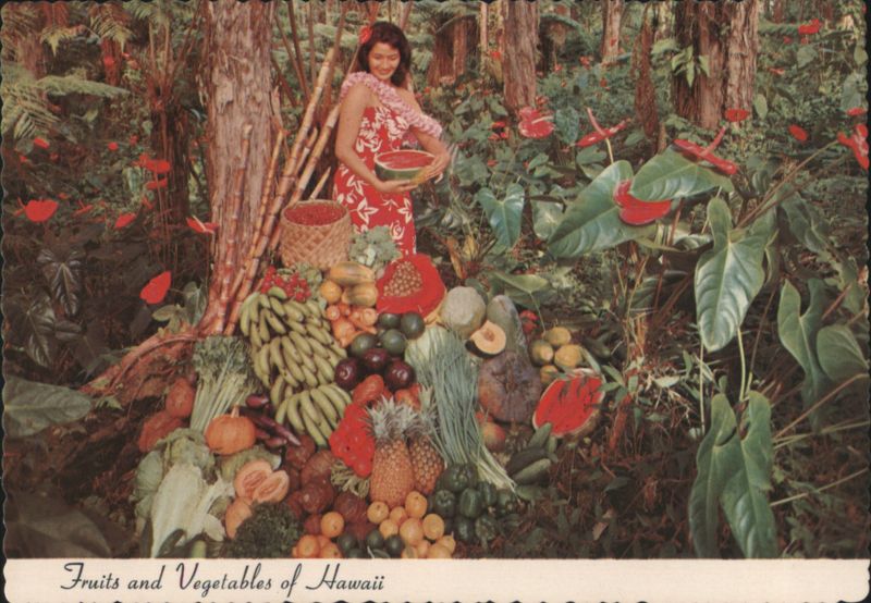 Fruits and Vegetables of Hawaii - Rainforest Display