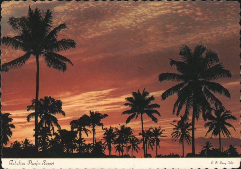 Fabulous Pacific Sunset - Palm Tree Silhouettes, HI Honolulu Hawaii
