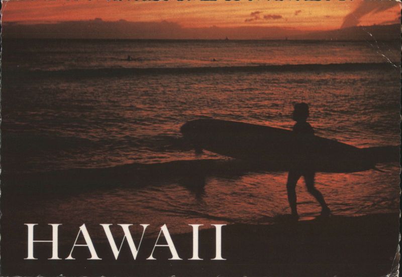 Surfer Silhouette at Sunset, Hawaiian Beach Paul W. Lovinger