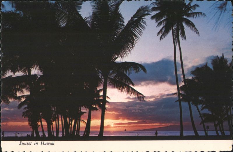 Sunset in Hawaii, Palm Tree Silhouettes at Waikiki Beach Honolulu