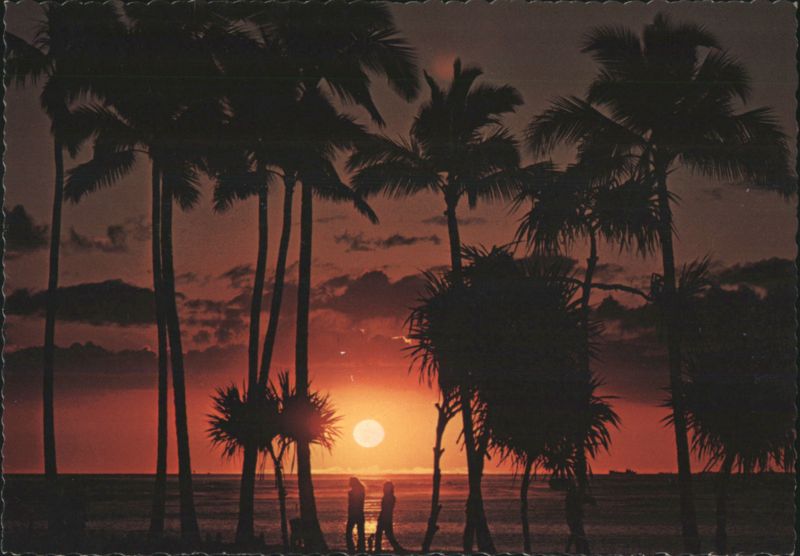 Cocopalms Silhouetted in a Brilliant Hawaiian Sunset