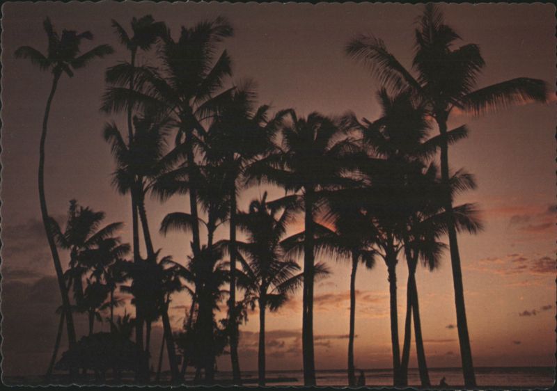 Hawaiian Cocopalms Silhouetted at Waikiki Beach Sunset Honolulu