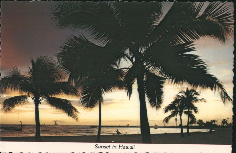 Palm Trees Silhouetted Against Sunset in Hawaii Don Ceppi