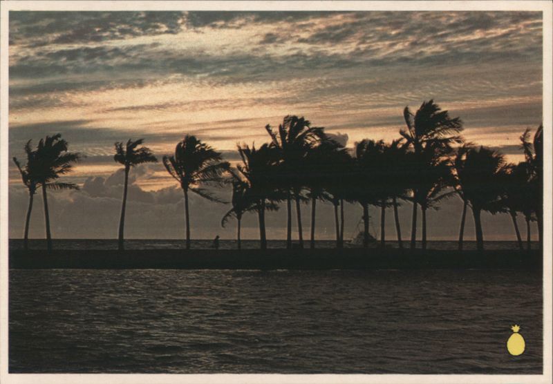 Hawaii Sunset Silhouette, Palm Trees, Tranquil Setting Honolulu