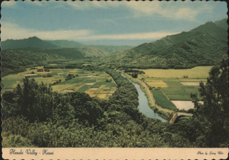 Hanalei Valley Rice Paddies & Taro Patches, Birthplace of the Rainbows Kauai Hawaii