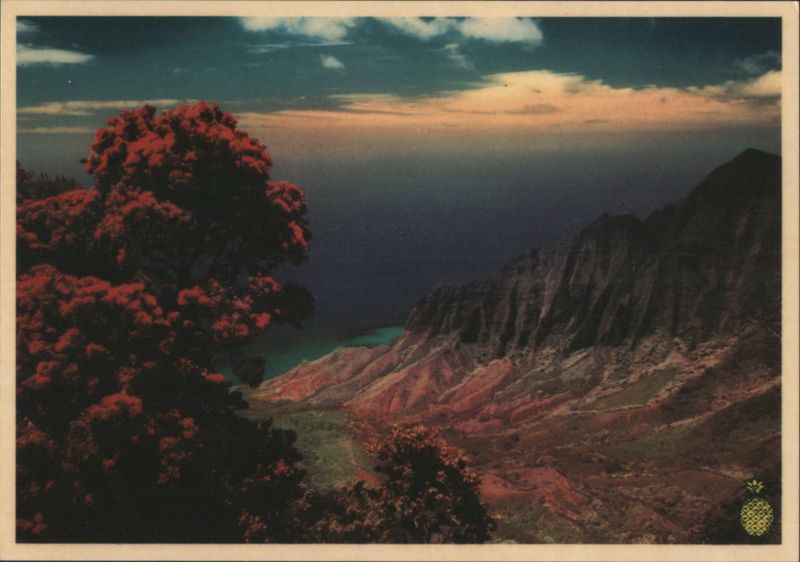 Kalalau Valley Na Pali Coast View with Ohia Tree Hawaii