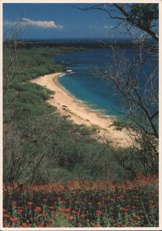 Maui's Makena Beach, White Sand & Pristine Waters Hawaii