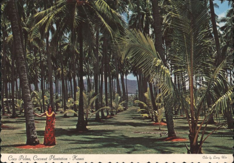Coco Palms Coconut Plantation, Woman in Muumuu, Kauai Hawaii