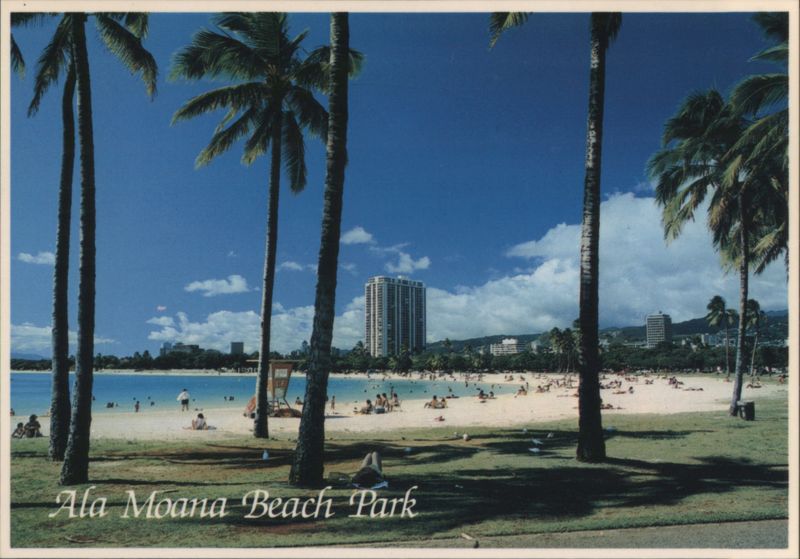 Ala Moana Beach Park Palms & Skyline View Honolulu Hawaii