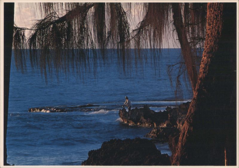 Fisherman at Dusk Framed by Ironwood Trees, Northshore Oahu Hawaii