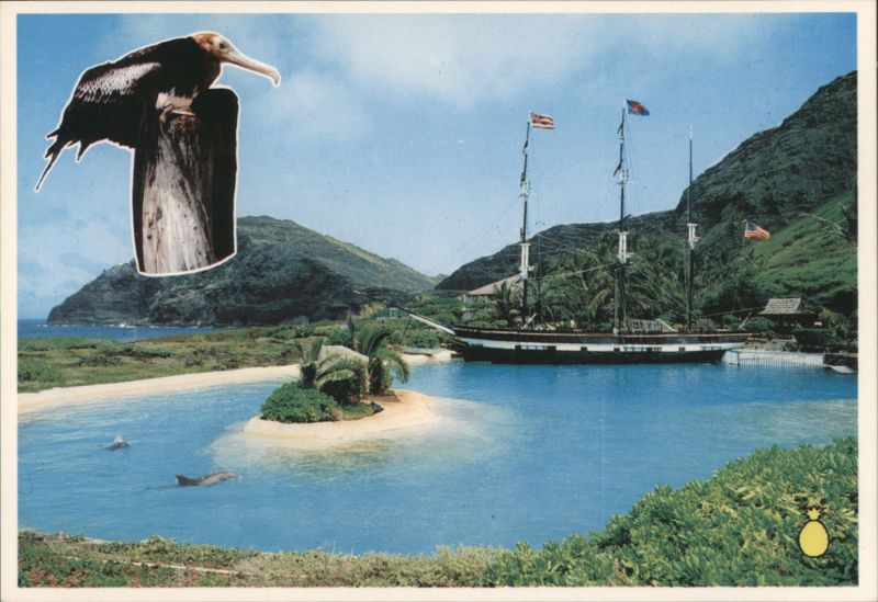 Sea Life Park, Makapuu Beach, Sailing Ship & Albatross Honolulu Hawaii