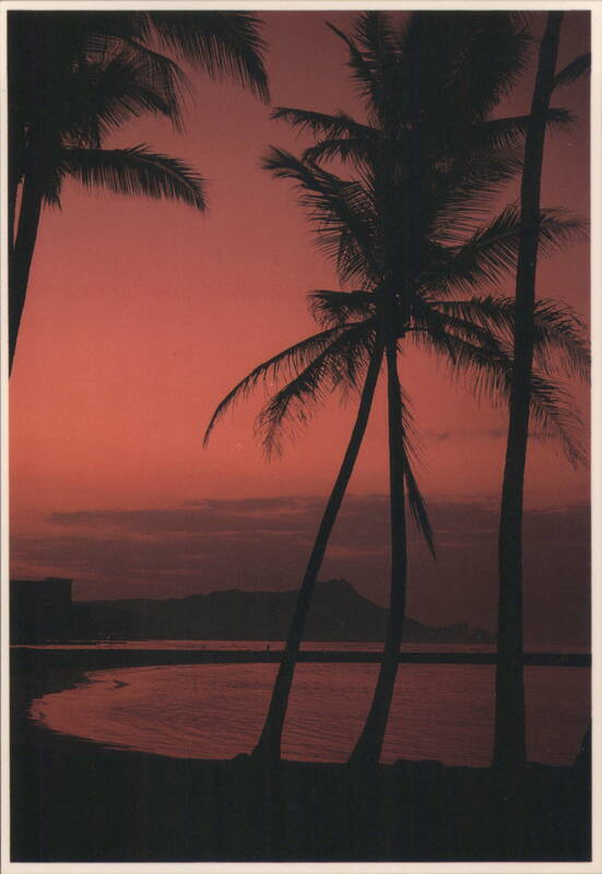 Silhouette Palm Trees at Sunrise, Diamond Head, Waikiki Honolulu Hawaii