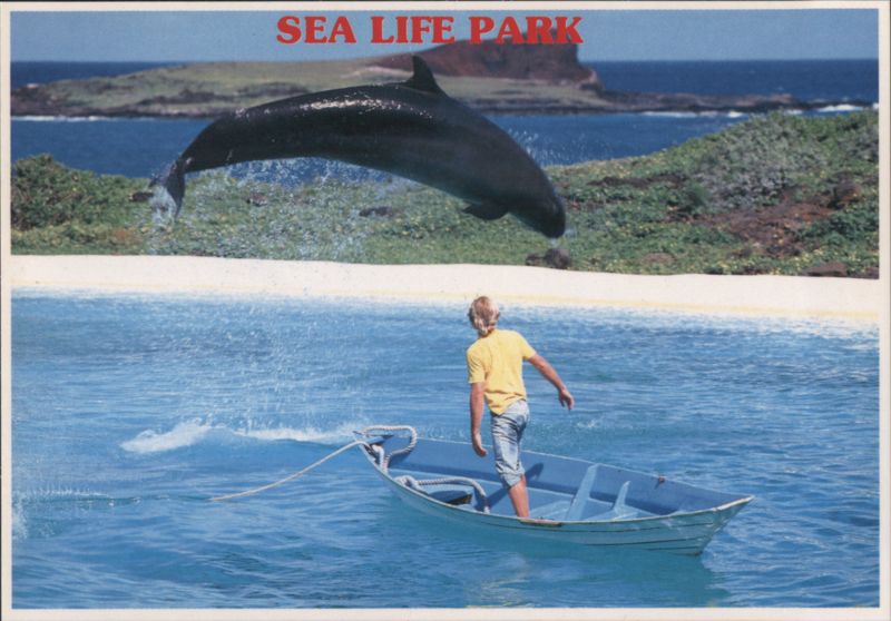 Sea Life Park Whale Jumping over Trainer HAWAII T. Sylvain