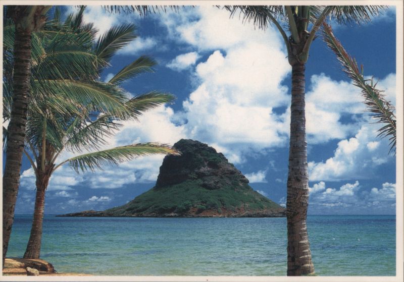 Mokoli'i Islet (Chinaman's Hat), Hawaii framed by Palms