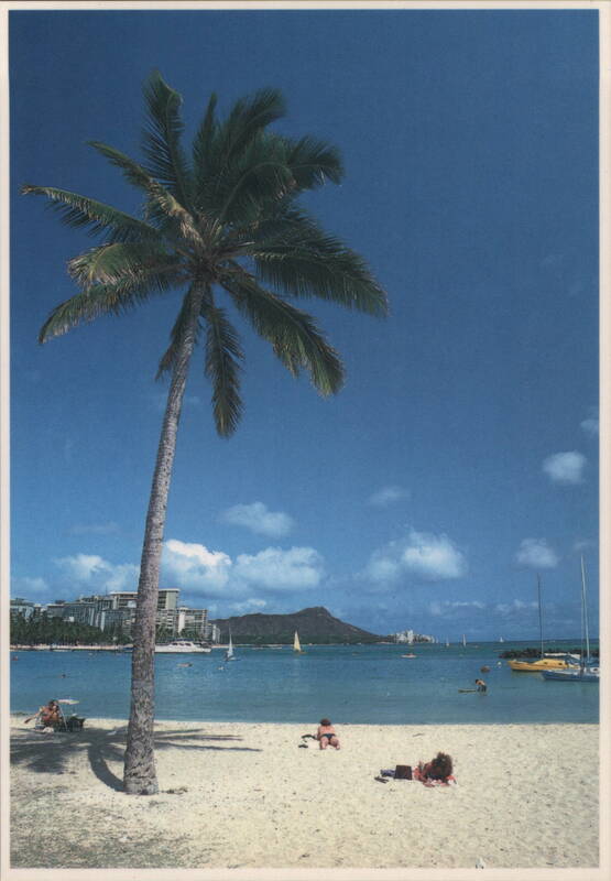 Palm Tree on Beach, Diamond Head View, Waikiki, HI Hawaii
