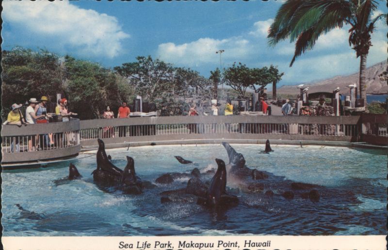 Sea Life Park, Makapuu Point, Hawaii - Feeding Seals Honolulu