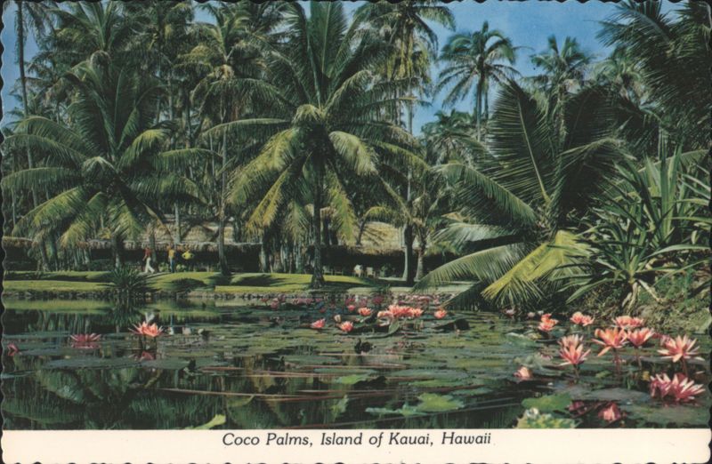 Coco Palms, Tree-lined Pond of Lilies, Island of Kauai Hawaii