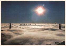 Morning fog on San Francisco Bay Postcard