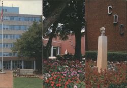 Centers for Disease Control & Hygeia Bust, Atlanta GA Postcard