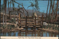 Flight Cage Wooden Bridge, San Diego Wild Animal Park Postcard