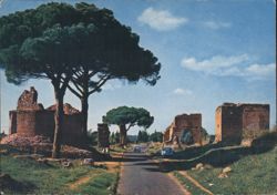 Via Appia Antica Ruins and Pine Trees, Rome Postcard