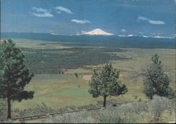 View of Mt. Shasta from Fall River Valley, CA Postcard