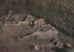 Pompeii Casts of Fugitives in a Garden (Reg. I - Ins. 21) Postcard